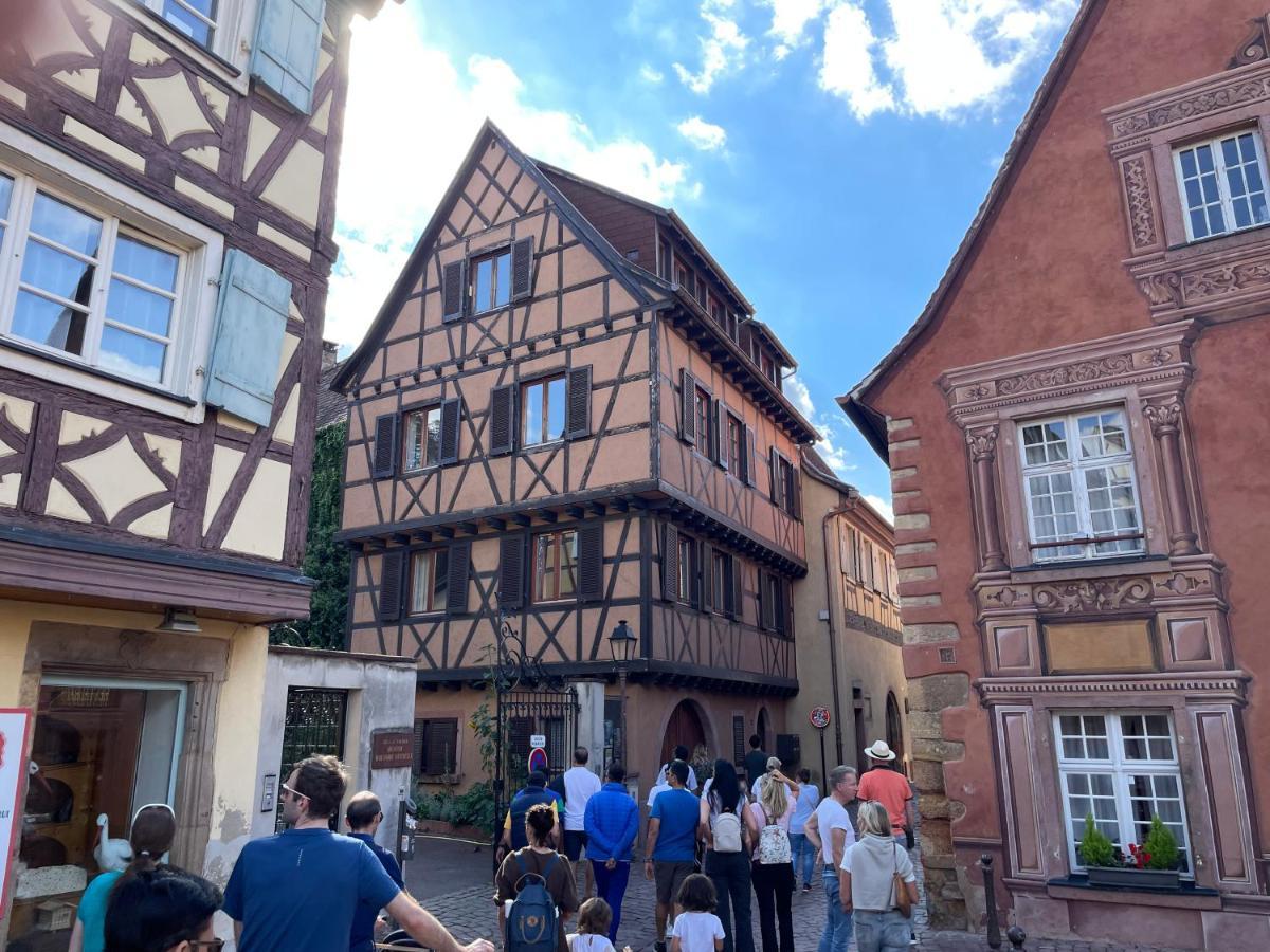 Rive Petite Venise Appartement Luxe - Centre Ville Colmar - Clim, Ascenseur & Possibilite Parking Esterno foto
